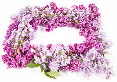 Beyaz arkaplanda, ortasında yazı alanı olan leylak çiçekleri çelengi.