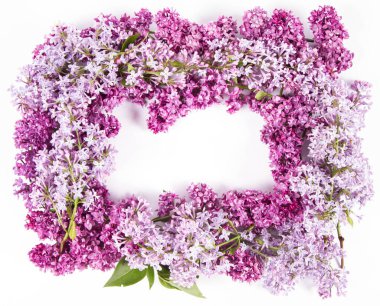 Beyaz arkaplanda, ortasında yazı alanı olan leylak çiçekleri çelengi.