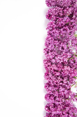 Üzerinde metin alanı olan beyaz bir arkaplanda leylak çiçekleri