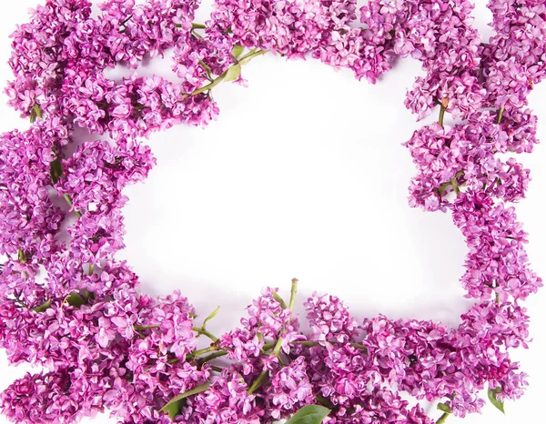 Garland Lilac Virágok Fehér Alapon Szöveges Helyet Közepén — Stock Fotó