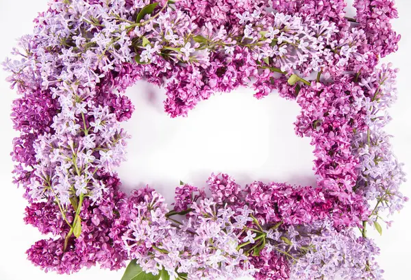 Garland Lilac Virágok Fehér Alapon Szöveges Helyet Közepén — Stock Fotó
