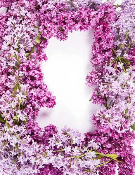 Garland Lilac Virágok Fehér Alapon Szöveges Helyet Közepén — Stock Fotó