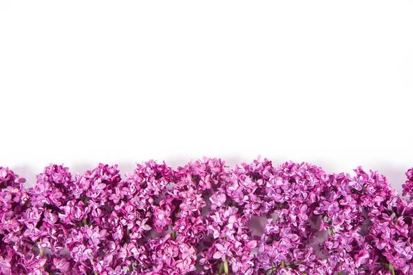 Lilac Bloemen Een Witte Achtergrond Met Tekst Ruimte Boven — Stockfoto