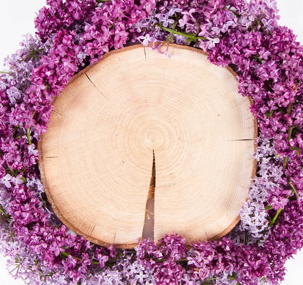 Fliedergirlanden Den Holzstamm Auf Weißem Hintergrund — Stockfoto