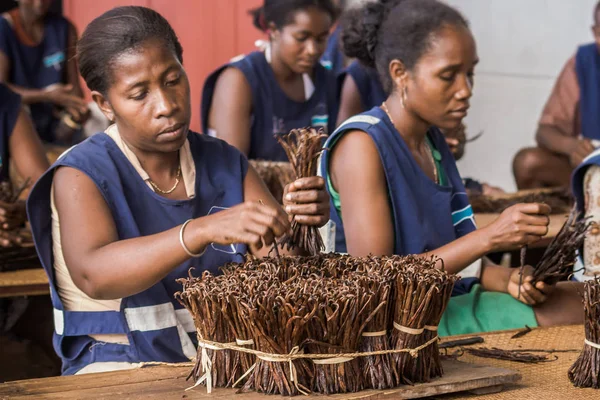 Manufacture of vanilla — Stock Photo, Image