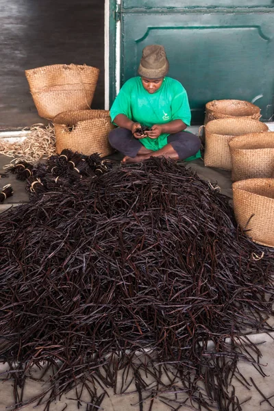 Manufacture of vanilla — Stock Photo, Image