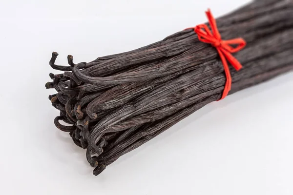 Bundle of Bourbon vanilla pods tied with red raffia — Stock Photo, Image