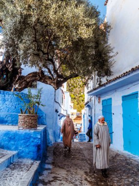Altında zeytin ağacı: Chefchaouen içinde