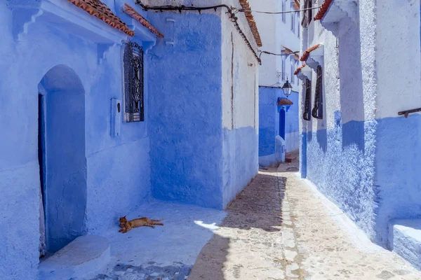 Sikátor, a kék Medina Chefchaouen, Marokkó — Stock Fotó