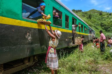 Fianarantsoa - East Coast tren