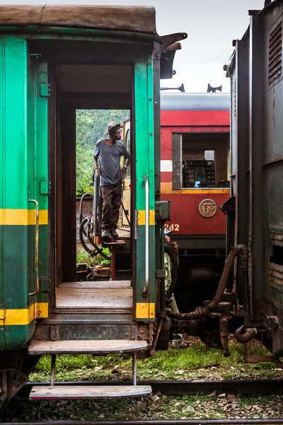 Fianarantsoa - Tren de la costa este —  Fotos de Stock