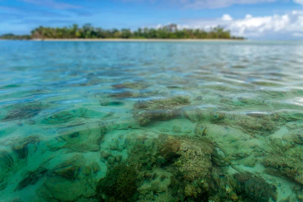 Les fonds marins de l'île — Photo