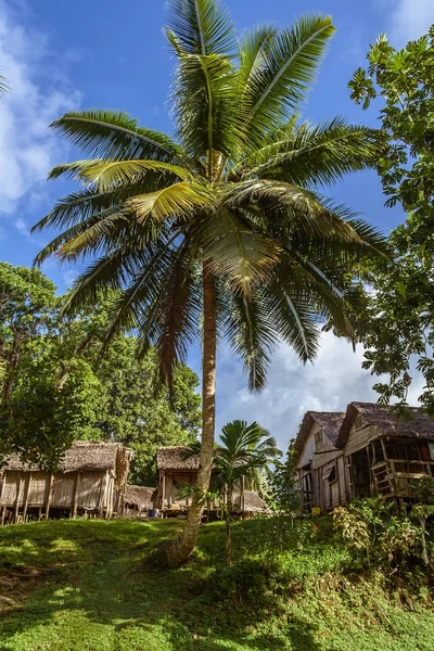 Typisch Malagasi dorp — Stockfoto