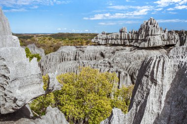Büyük Tsingy de Bemaraha