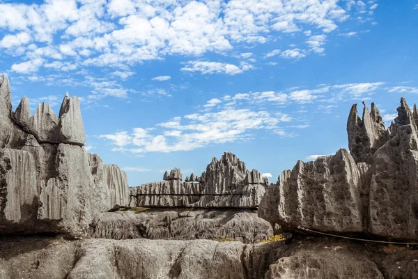 De grote Tsingy de Bemaraha — Stockfoto