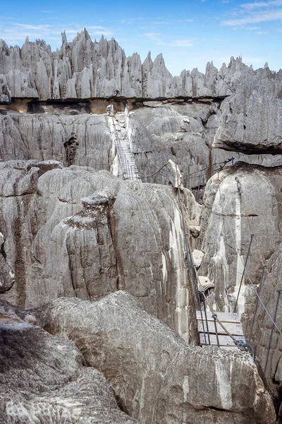 The great Tsingy de Bemaraha — Stock Photo, Image