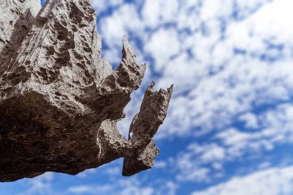 O grande Tsingy de Bemaraha — Fotografia de Stock