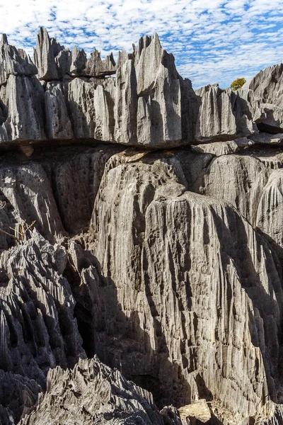 O grande Tsingy de Bemaraha — Fotografia de Stock