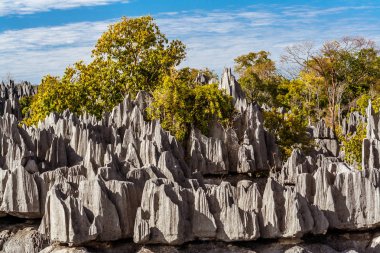 Tsingy de Bemaraha, Madagascar clipart