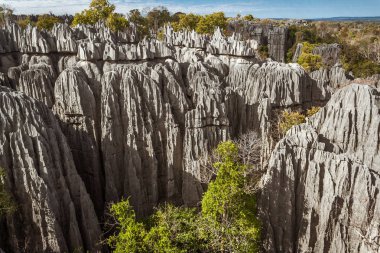 Tsingy de Bemaraha, Madagascar clipart