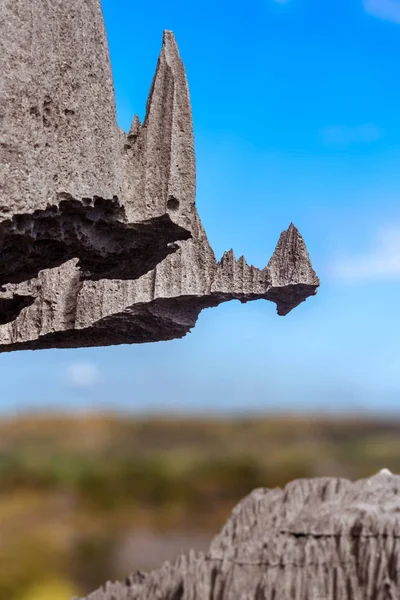 De grote Tsingy de Bemaraha — Stockfoto