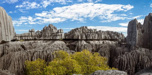 The great Tsingy de Bemaraha — Stock Photo, Image