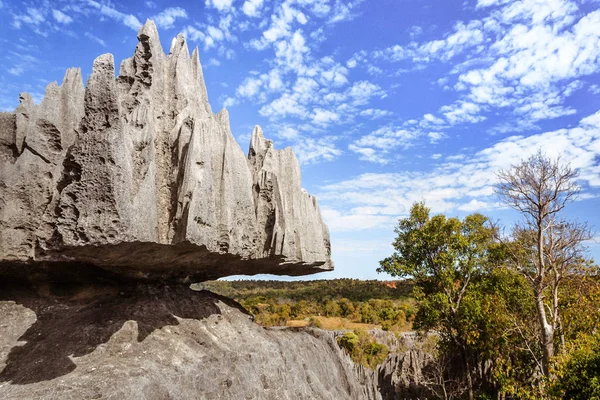 De grote Tsingy de Bemaraha — Stockfoto