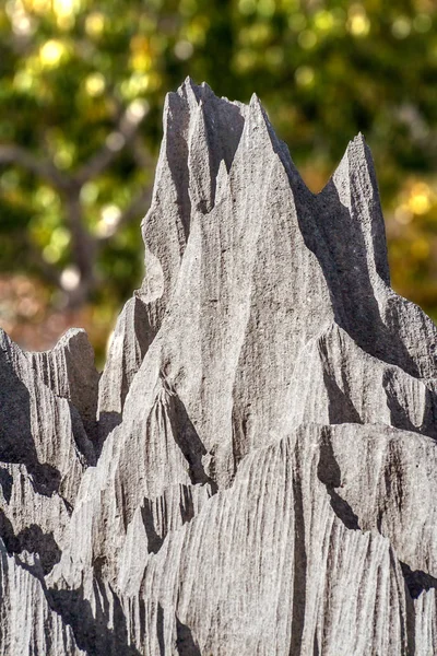 Tsingy de Bemaraha, Madagascar — Foto de Stock