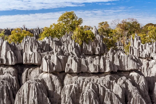 Tsingy de Bemaraha, Madagascar — Stock Photo, Image