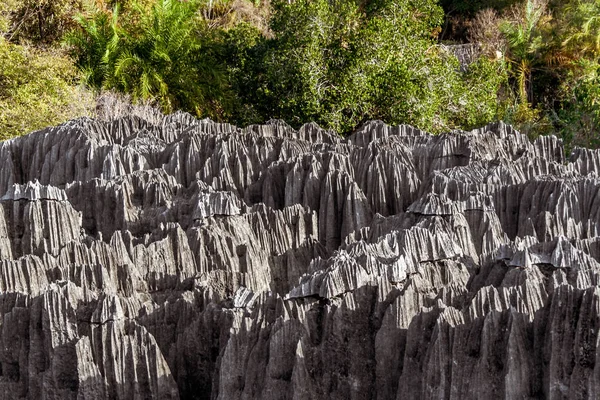 Pequeno Tsingy de Bemaraha, Madagáscar — Fotografia de Stock