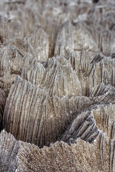 Small Tsingy de Bemaraha, Madagascar — Zdjęcie stockowe