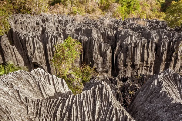 Small Tsingy de Bemaraha, Madagascar — стокове фото