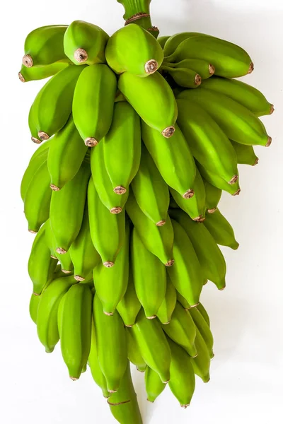 Tros groene bananen — Stockfoto