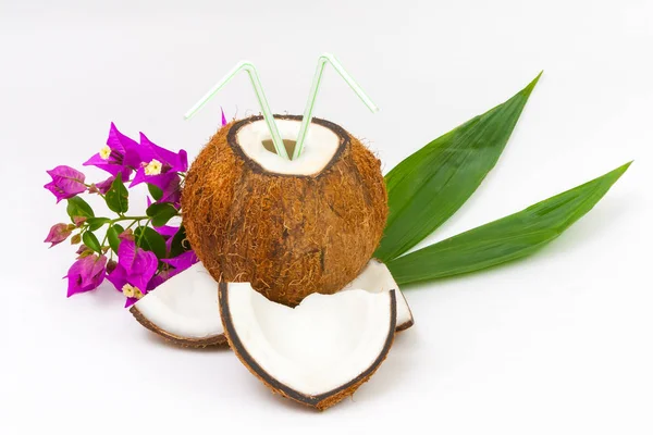 Coconut fruit cocktail — Stock Photo, Image