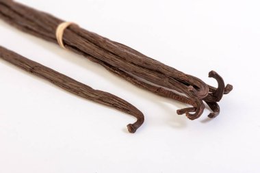 Vanilla beans from Madagascar clipart