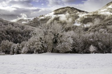Karlı ve bulutlu peyzaj