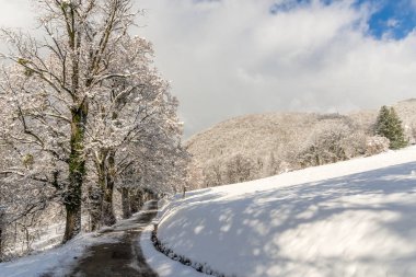 Kar alanı hem de orman yolu
