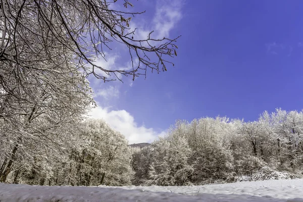 Paysage enneigé avec soleil et nuages — Photo