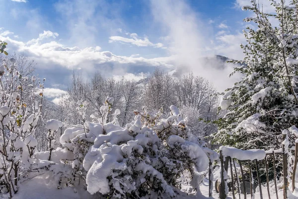 Snowy landscape with sun and clouds — Stock Photo, Image