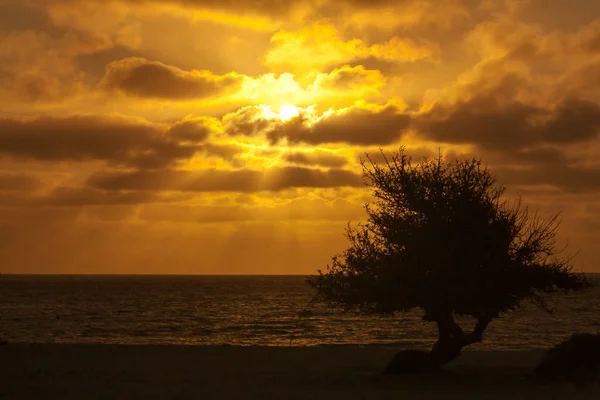 Cloudy sunset — Stock Photo, Image