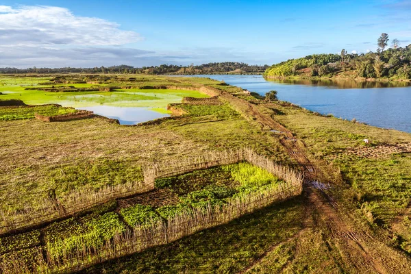 Agriculture in the countryside — Stock Photo, Image