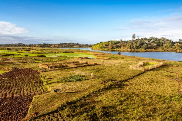 Agricultura en el campo — Foto de Stock