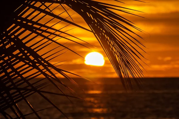 Sonnenuntergang auf dem Meer — Stockfoto