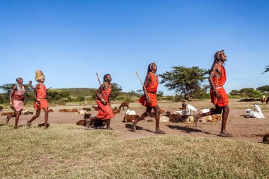 Masai warriors clipart