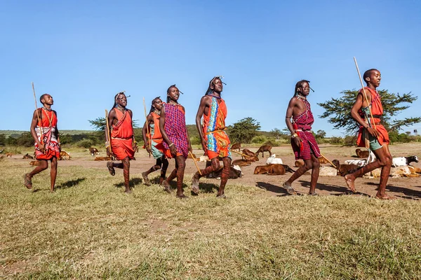 Masai krijgers — Stockfoto