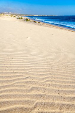Kumul ve vahşi beach