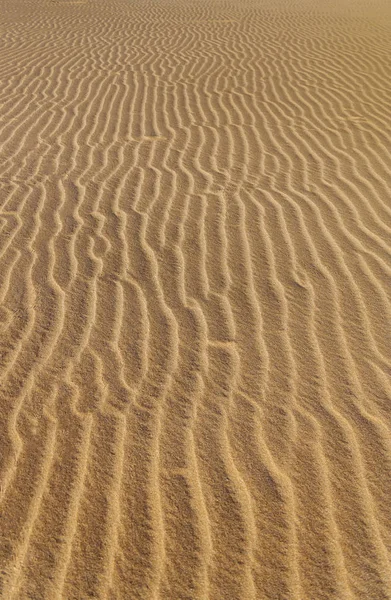 파문이 모래 배경 — 스톡 사진