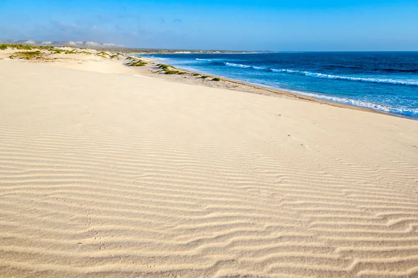 Kumul ve vahşi beach — Stok fotoğraf