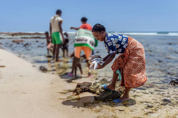 Malagasy family preparing fish — Stock Photo, Image