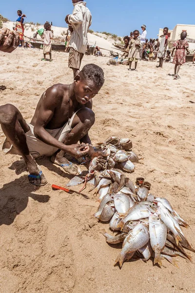 Pescatore malgascio che prepara il pesce — Foto Stock